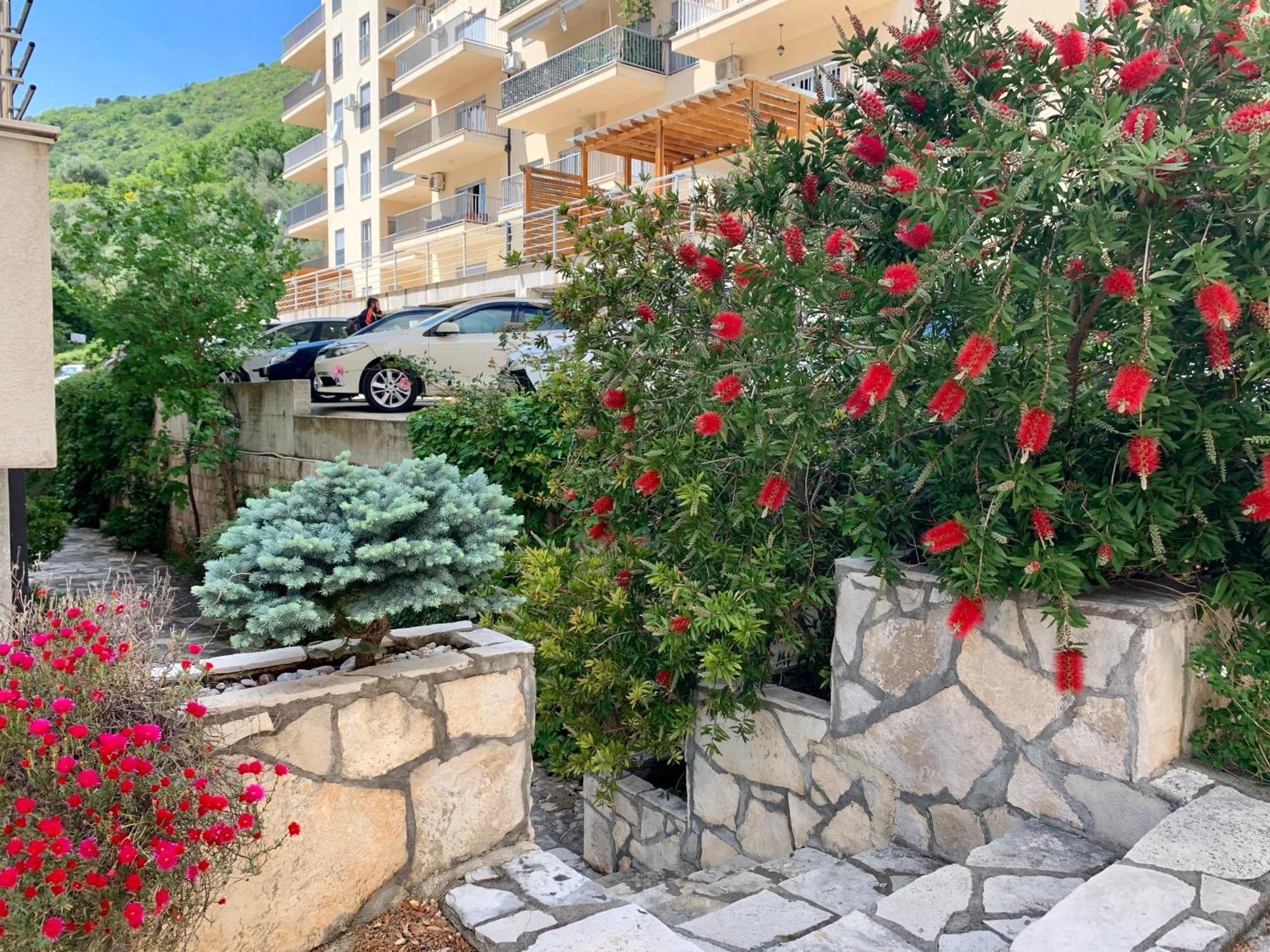 Best view apartment Petrovac Buitenkant foto